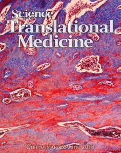 Decorative journal cover. With an aging population comes more and more surgical implants to stabilize broken hips and replace worn-down joints. Despite their widespread application, these biomedical implants can loosen by not integrating fully with the host tissue; this requires revision surgery and increases patient morbidity. In response, Shah and colleagues designed a series of biochemical coatings that can be applied to both polymer (PEEK) and metal (titanium) surfaces to help implants develop a strong interface with existing bone.